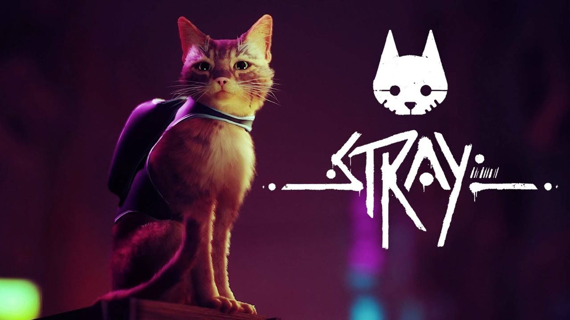 stray mobile apk download