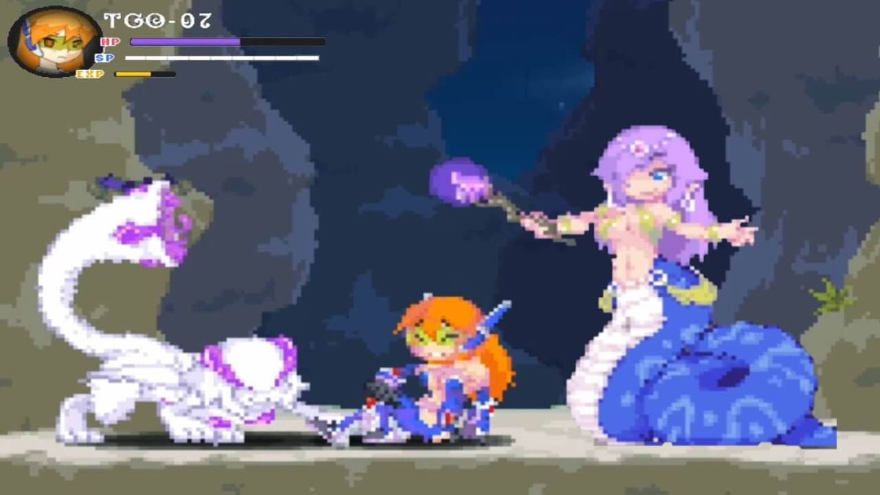 Echidna wars gallery